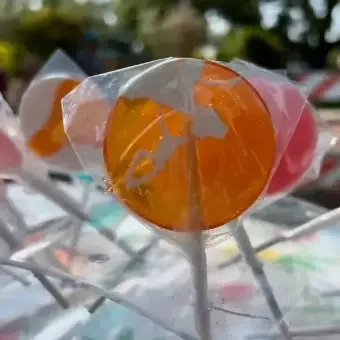 Bubble Gum Flavor