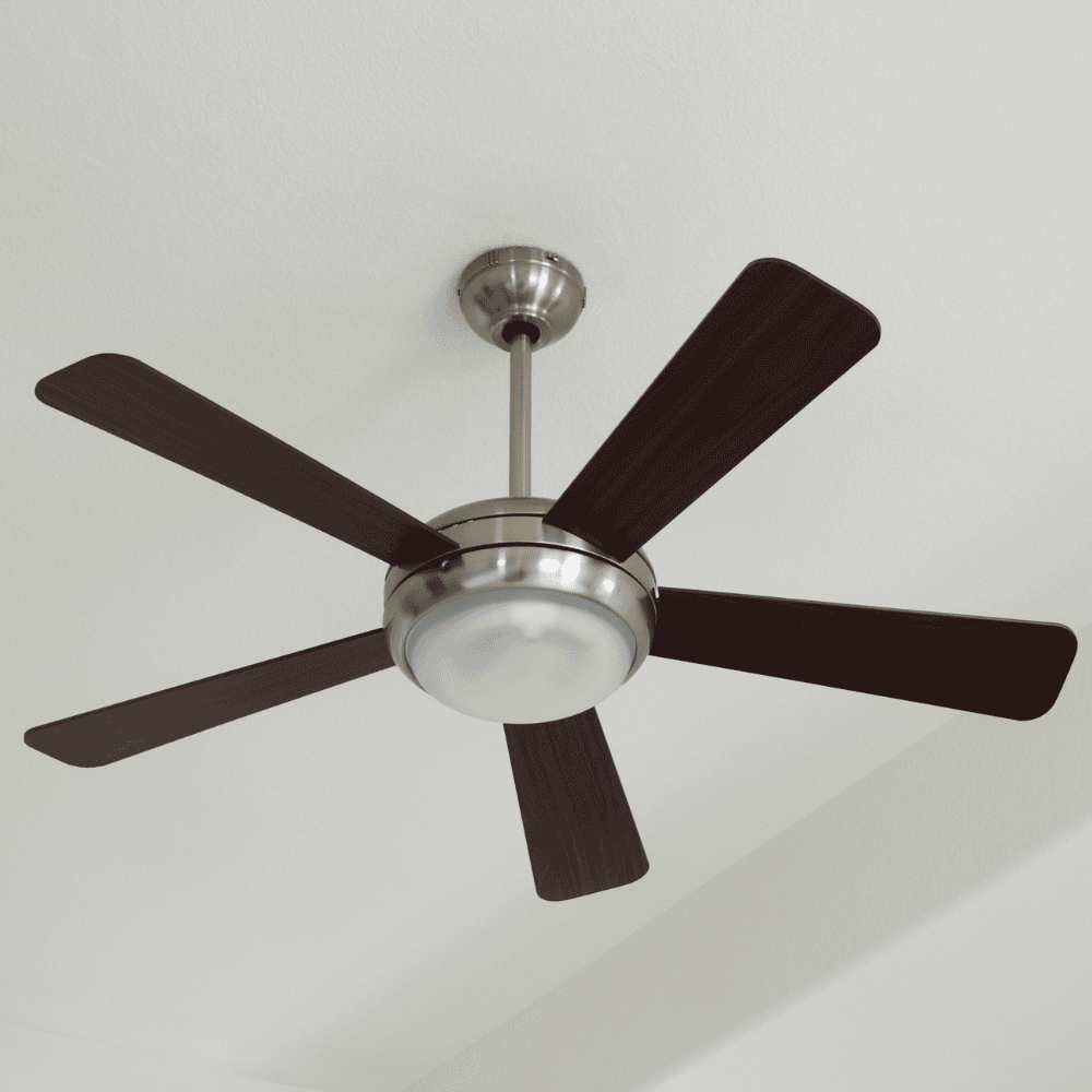 Celling Fans