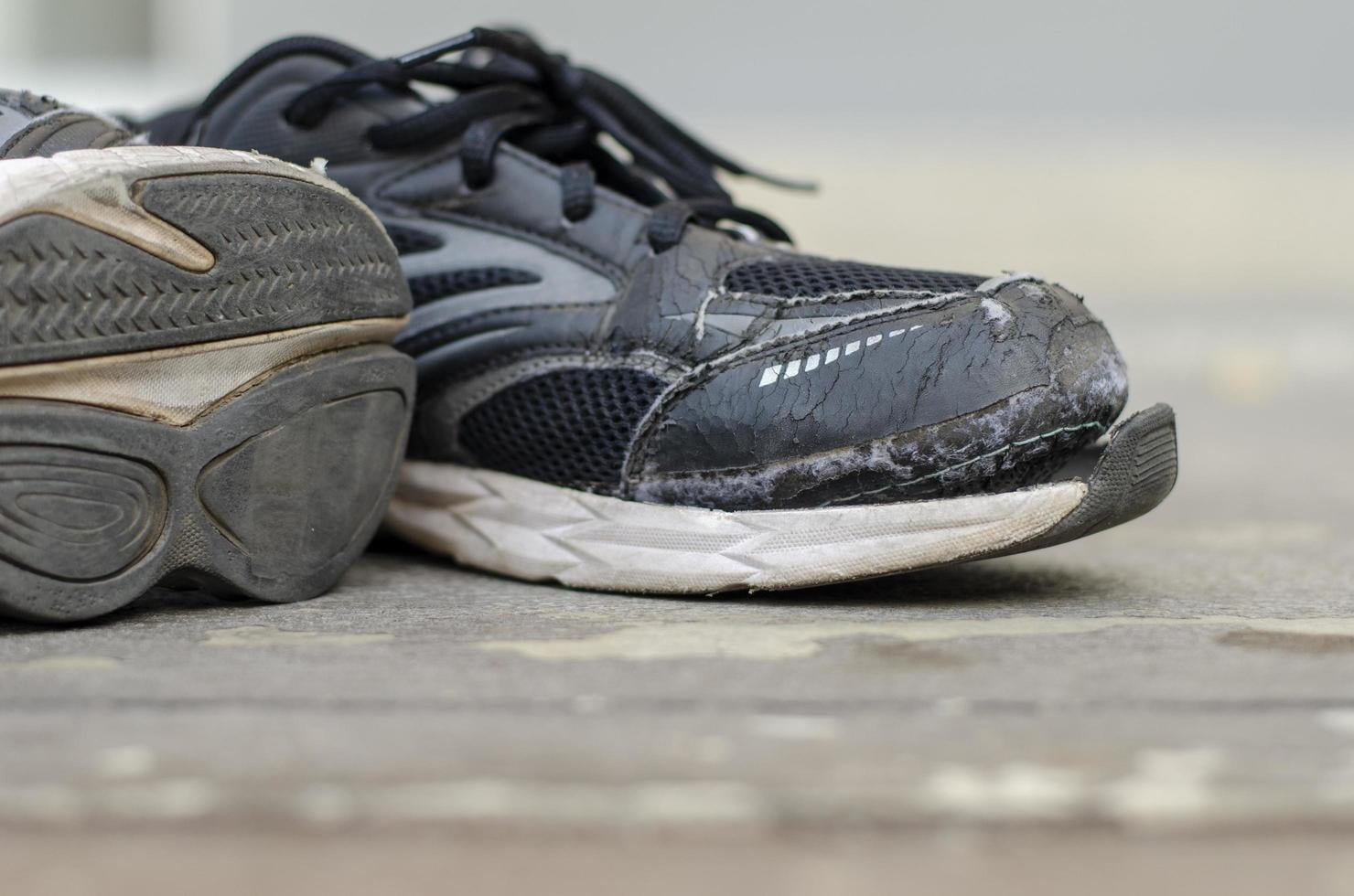 Buy New Sports Shoe Online