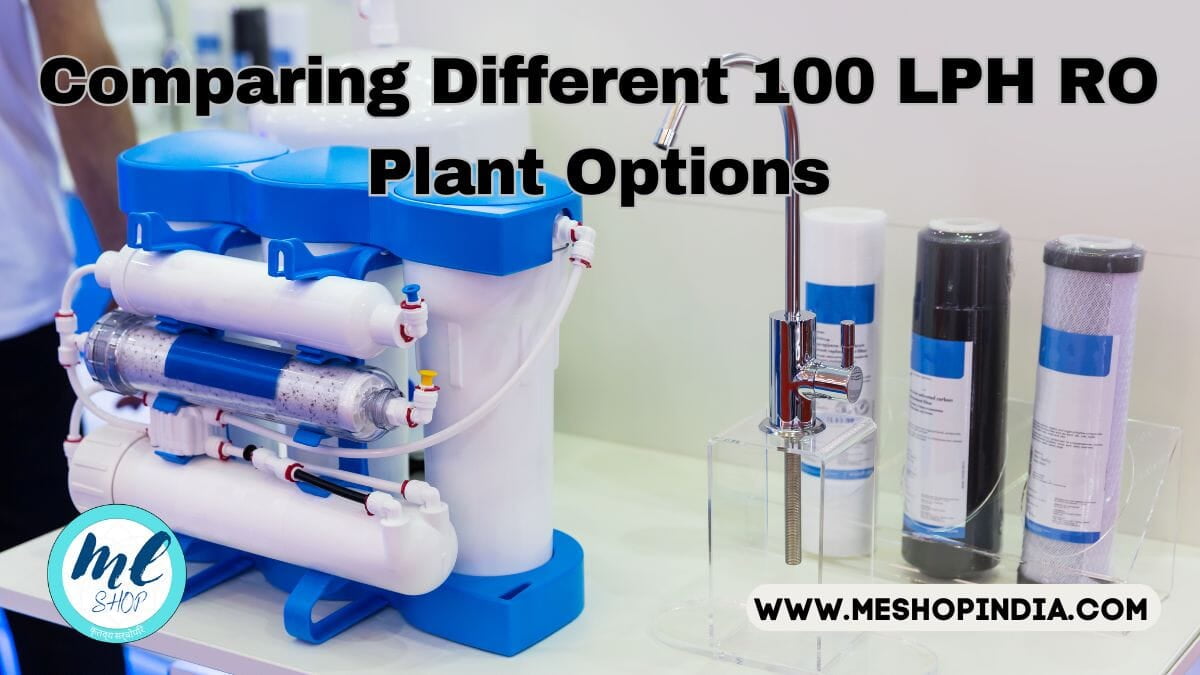 100 LPH RO Plant