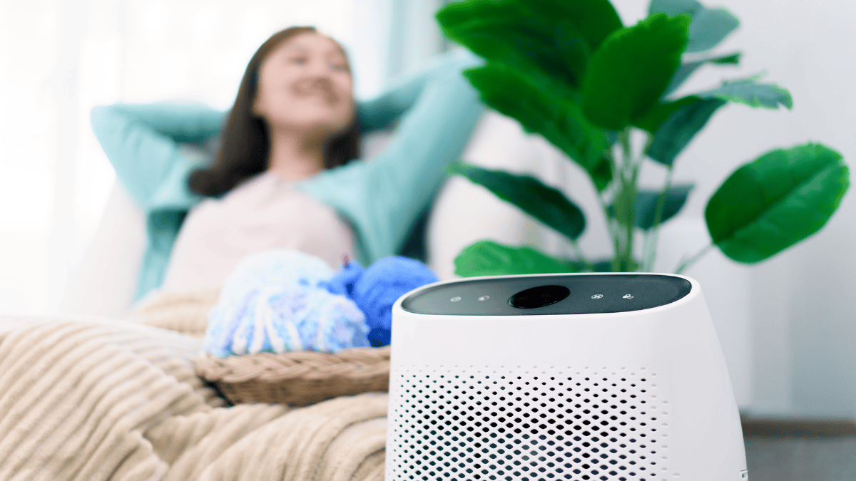 Air Purifiers in India
