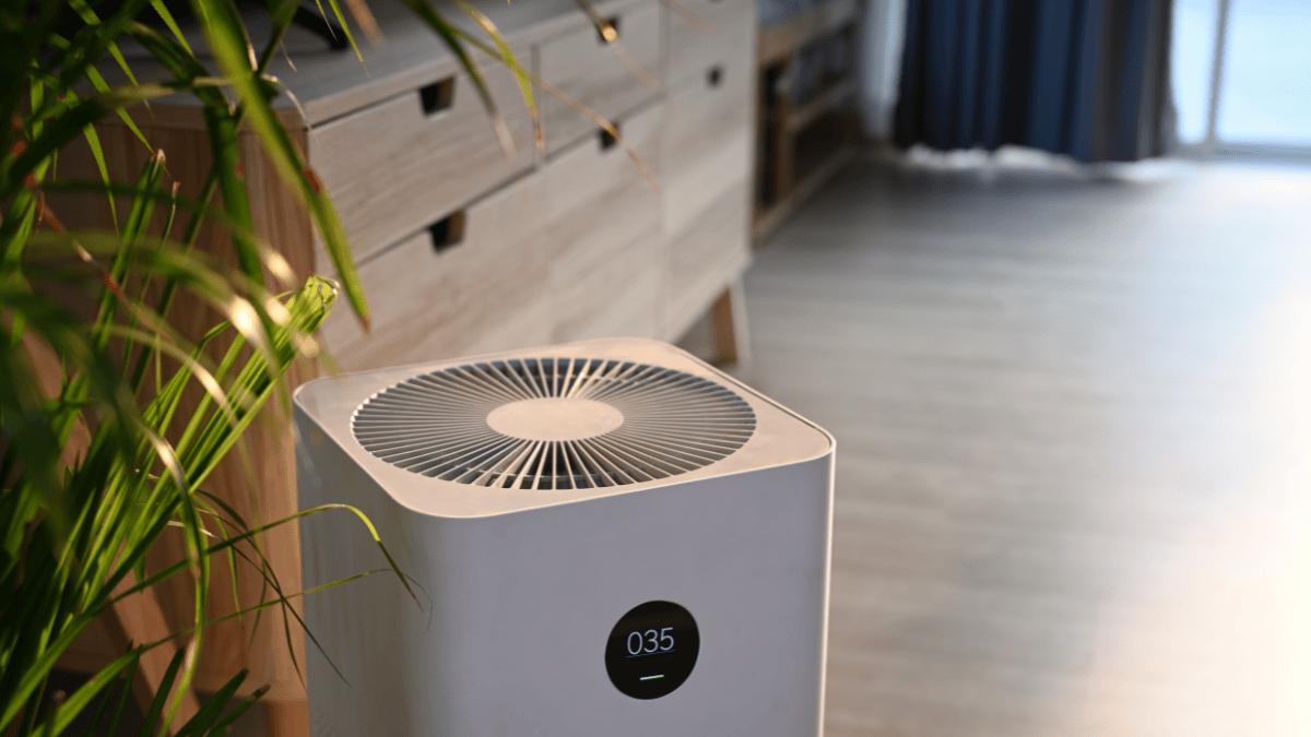 Air Purifiers in India