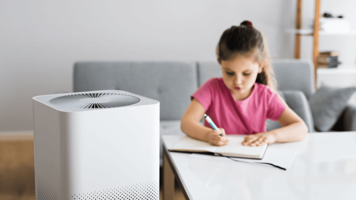  Blueair Air Purifier Filters