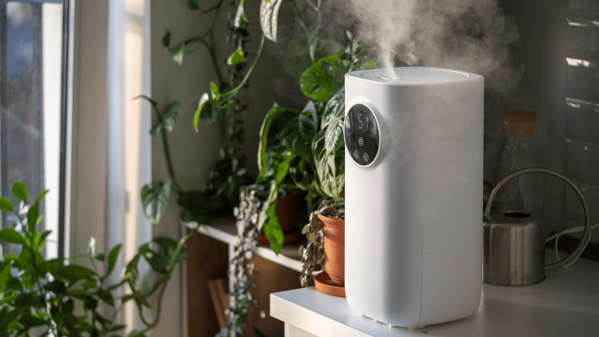  Blueair Air Purifier Filters