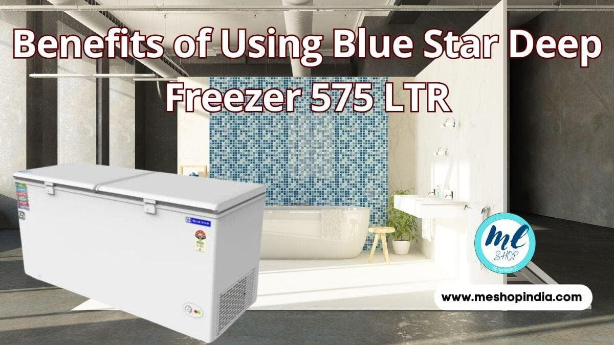 Blue Star Deep Freezer 575 LTR