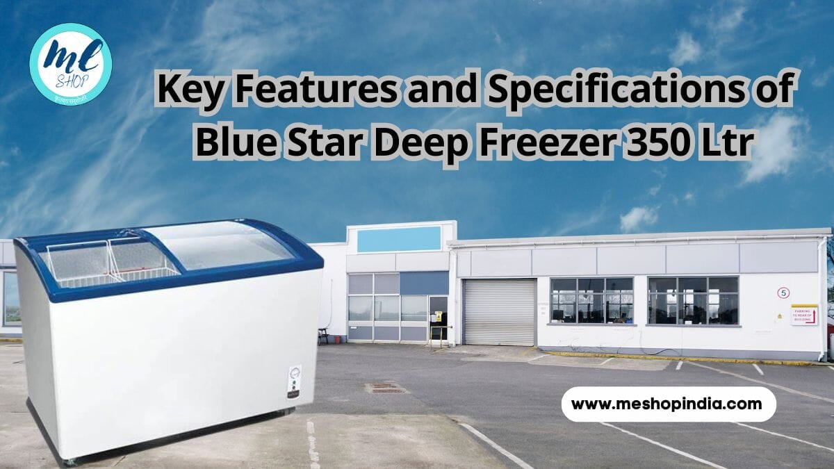 Blue Star Deep Freezer 350 Ltr