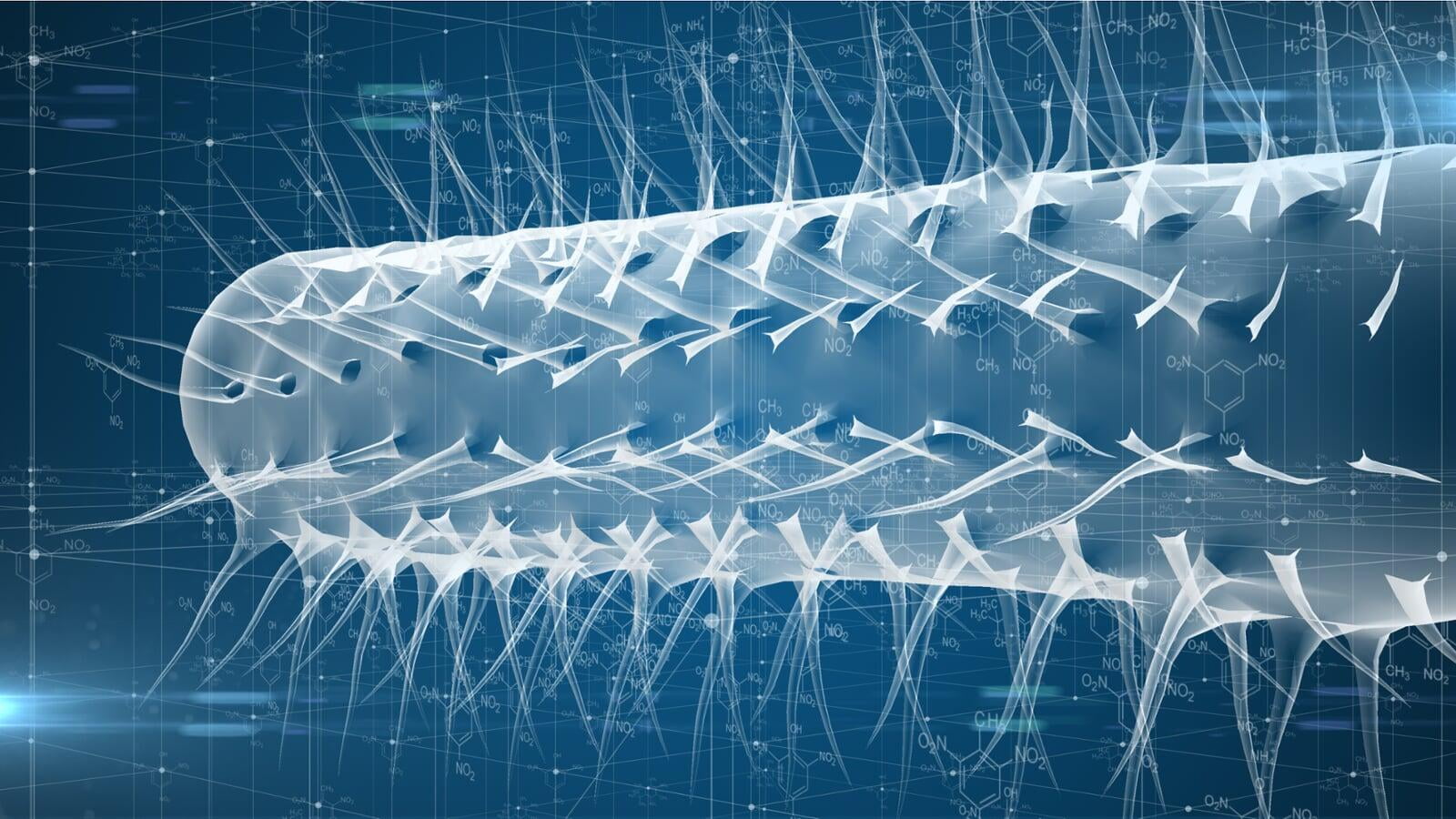 Synthetic Biology