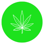 Horny Goat Weed