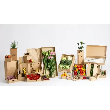 Craft-Ready Paperboards for Stationery and Art Supplies