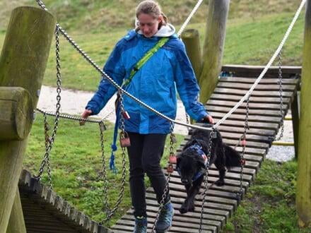 Hundehalterbrevet AusbildnerIn NHB
