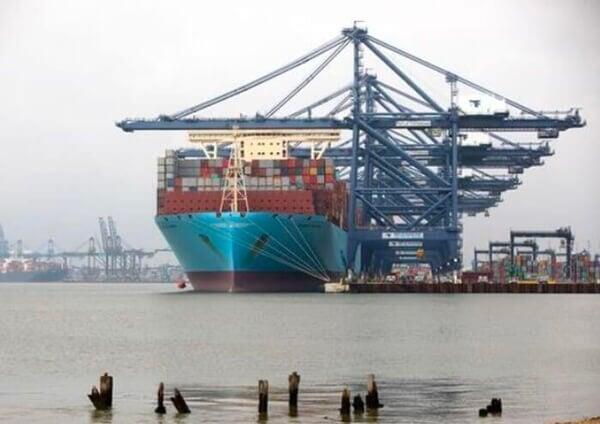 Cargos maritime