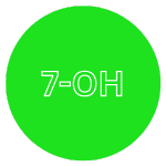 7oh