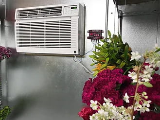 Ventanas de demostración: estas ventanas son una excelente manera de mostrar a sus clientes sus hermosas flores Ventanas de demostración: estas ventanas son una excelente manera de mostrar a sus clientes sus hermosas flores