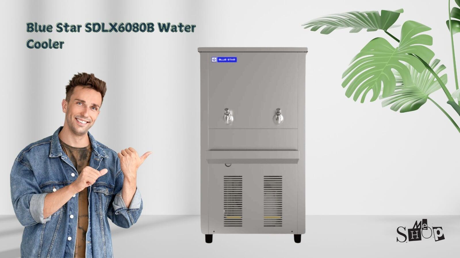 Blue Star SDLX6080B Water Cooler