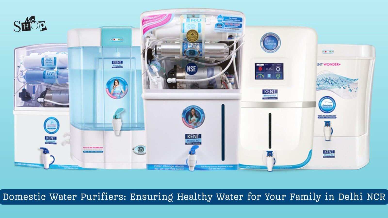 Domestic Water Purifiers: Ensuring Healthy Water for Your Family in Delhi NCR