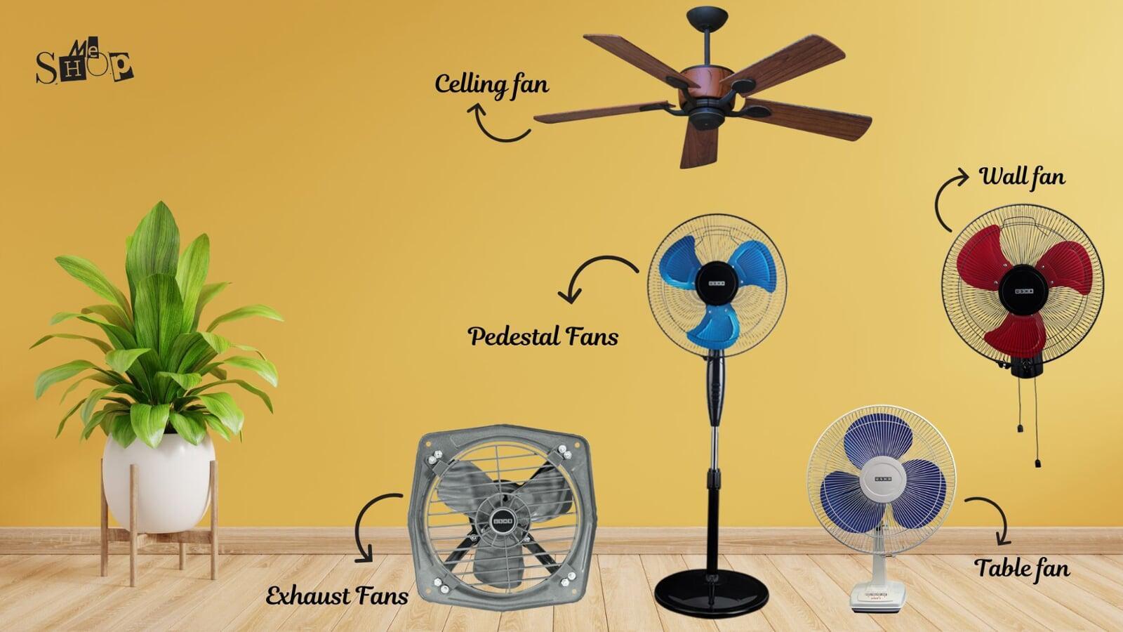 Circulation and Comfort: Electric Fans