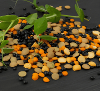 Pulses