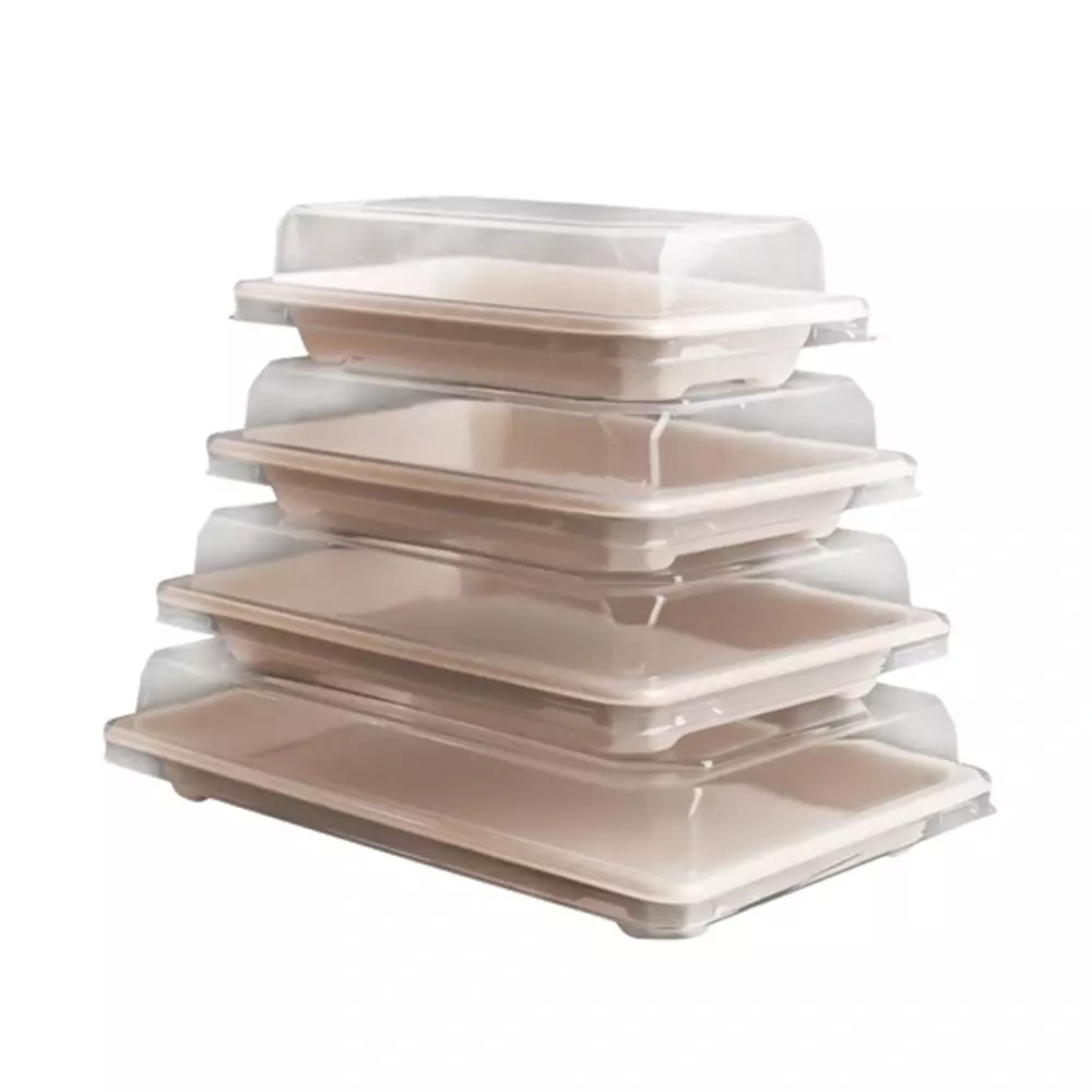 Bagasse Trays