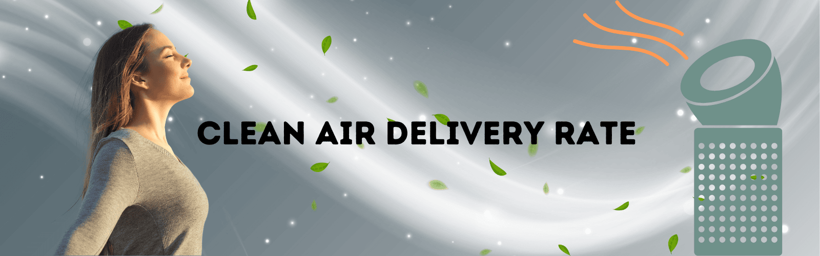 Clean air delivery rate