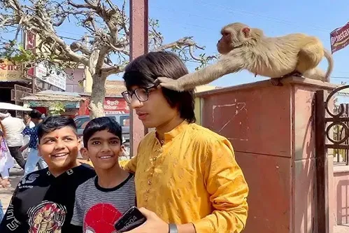 Vrindavan
