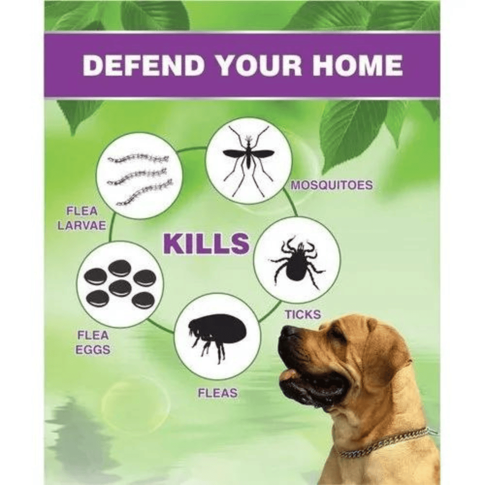 safe insect killer for pets safe insect killer for pets