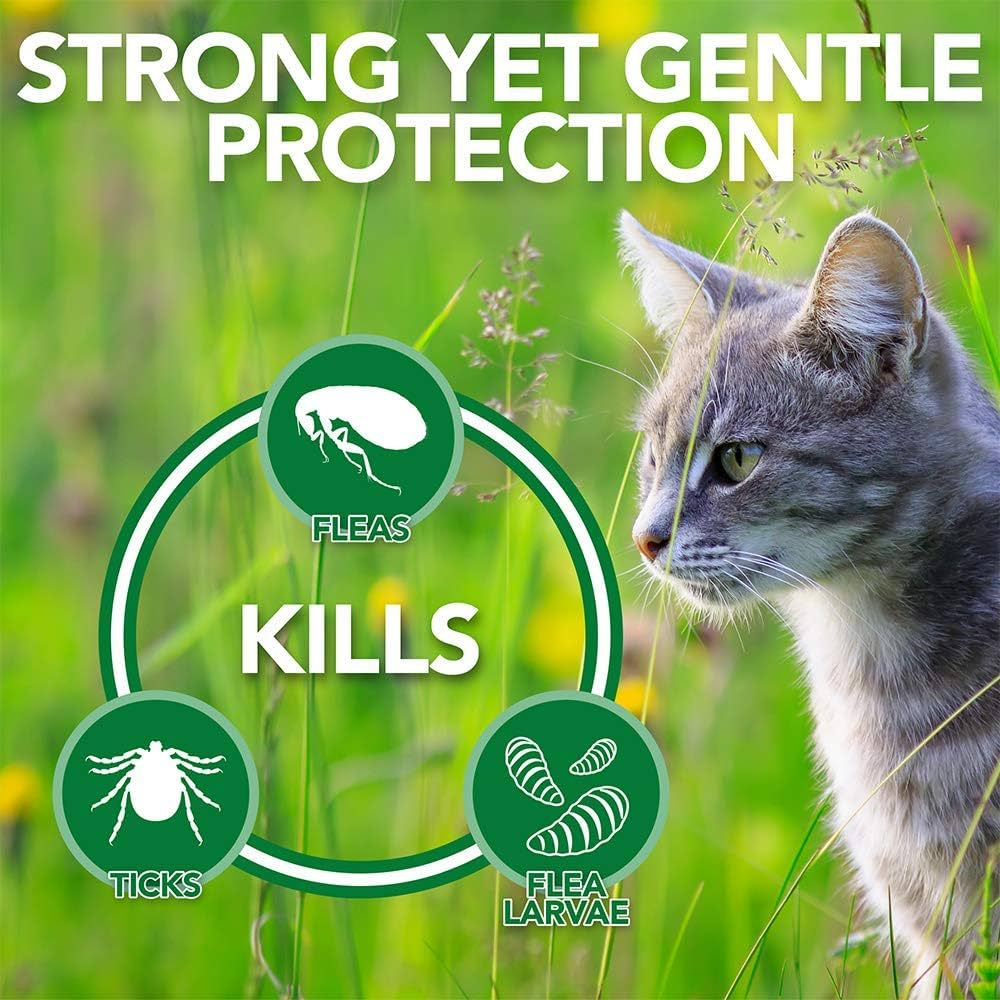 safe insect killer for pets safe insect killer for pets