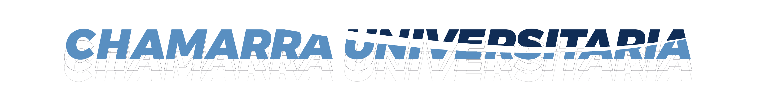 Chamarra Universitaria