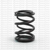 VALVE SPRING DUAL