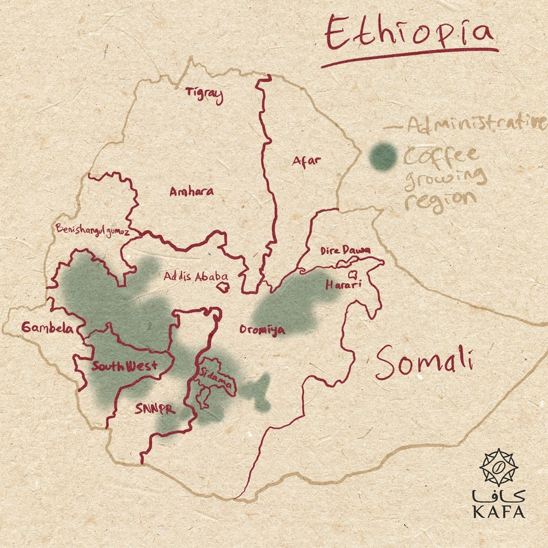 Ethiopia Ethiopia