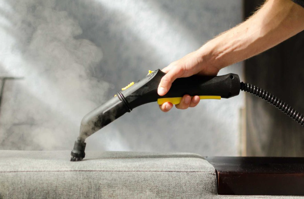 Steam Cleaners