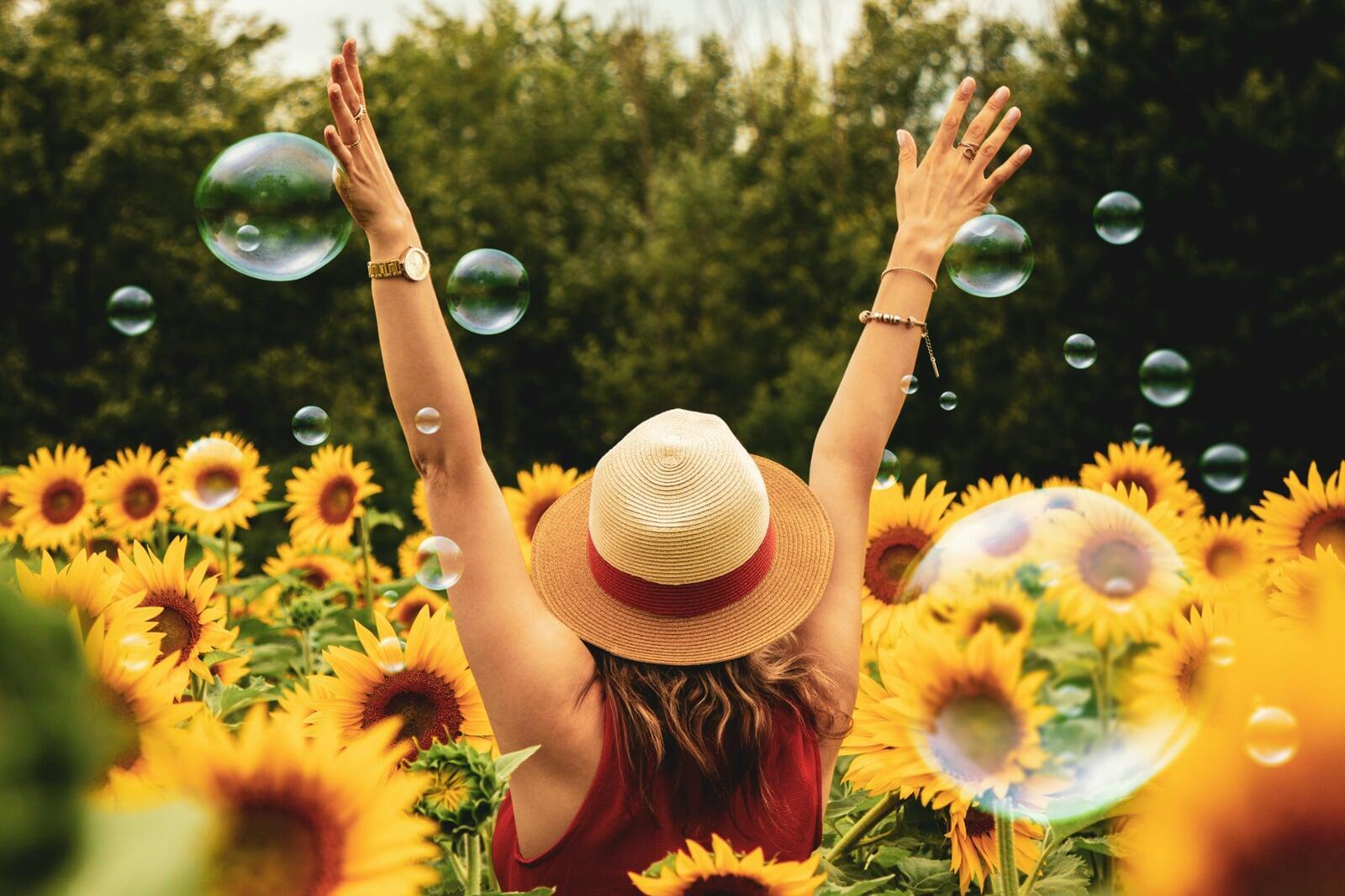 Girl in Sunflowers