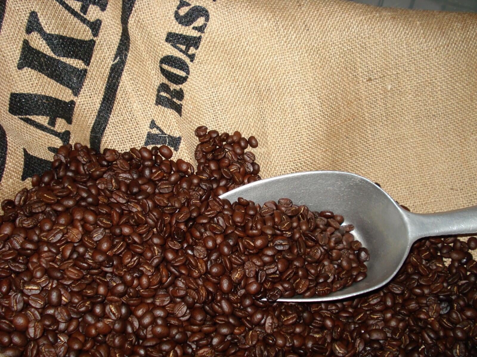 Lakapino Coffee