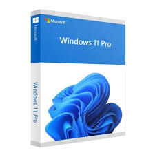 Windows 11