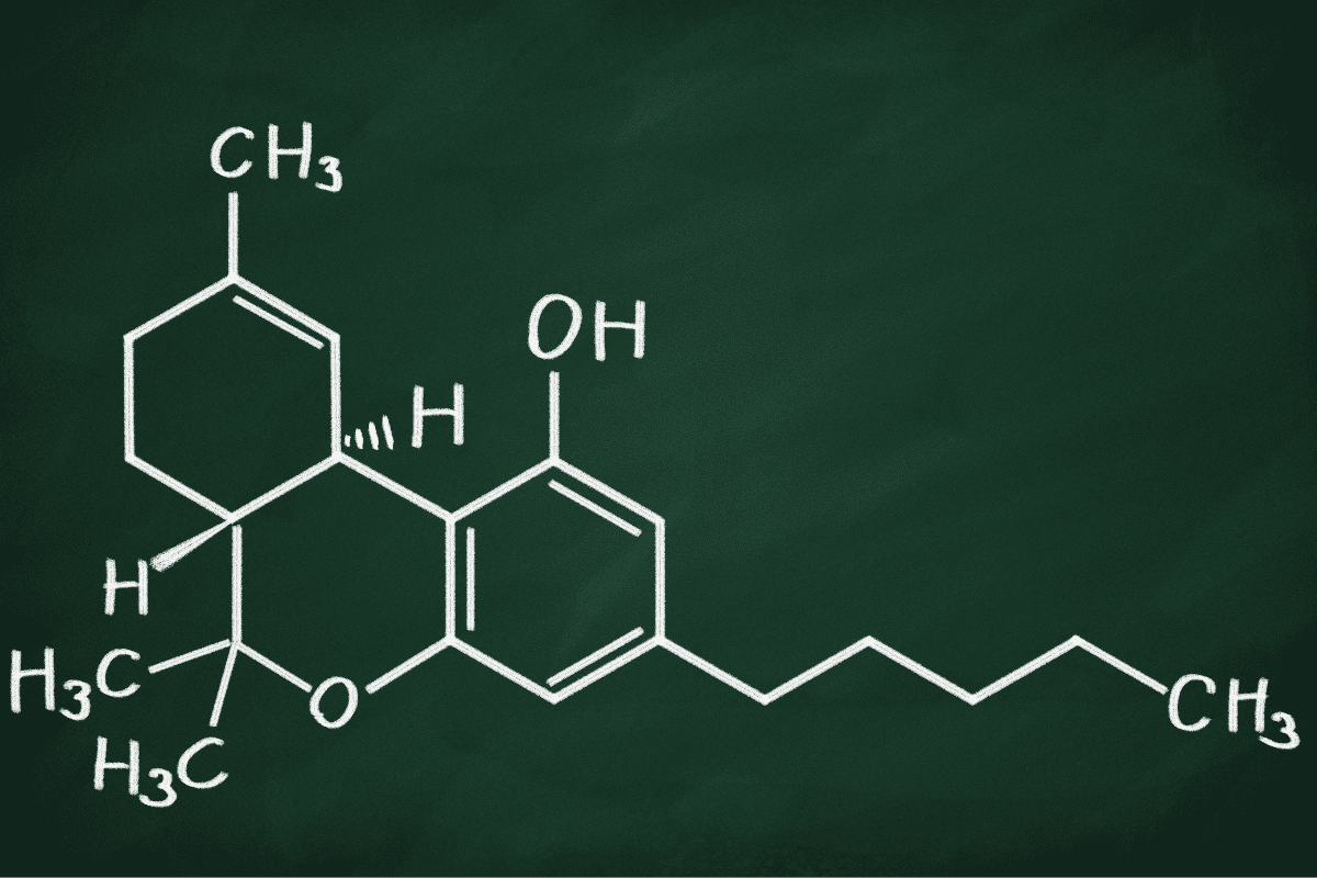 Molecular Structure of D8