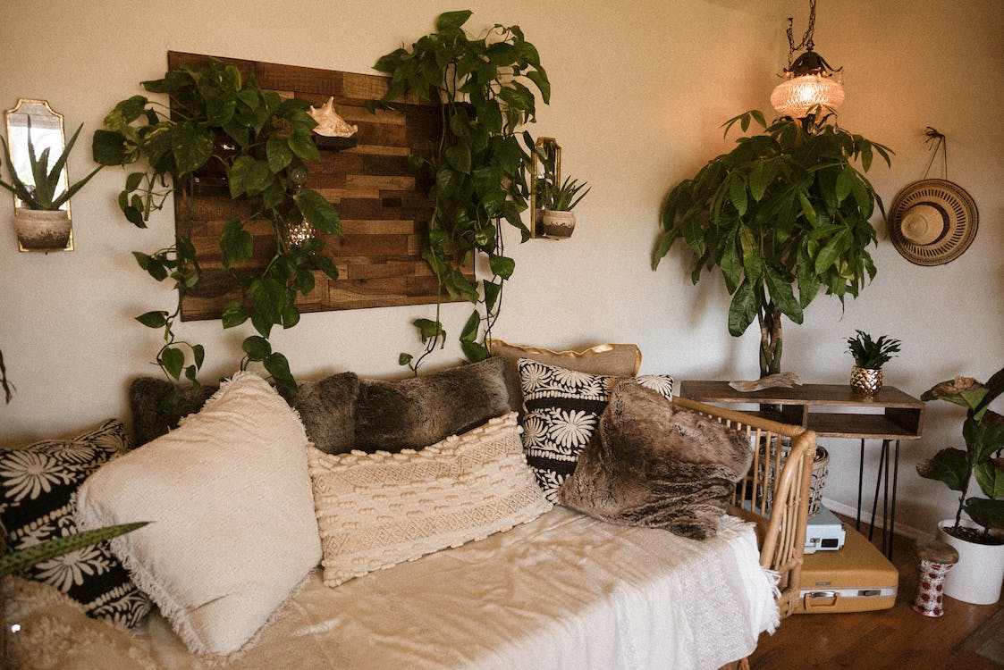 living decor with natural elements of wood and plants