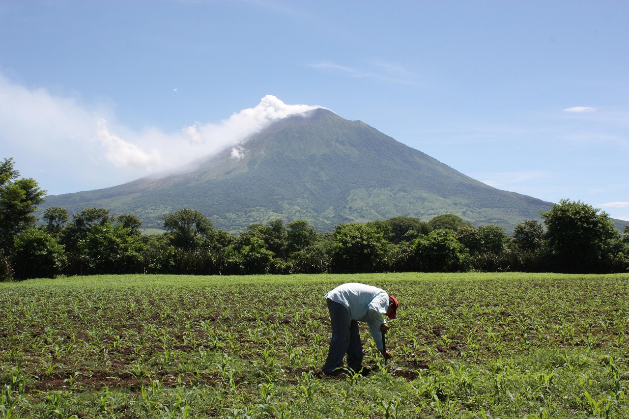 Terreno