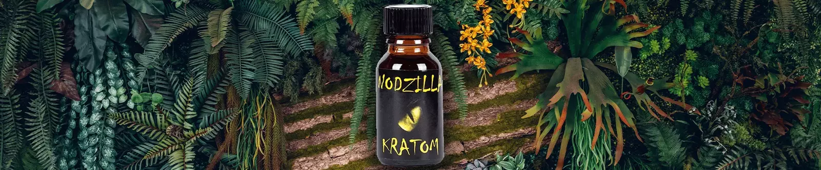 nodzila