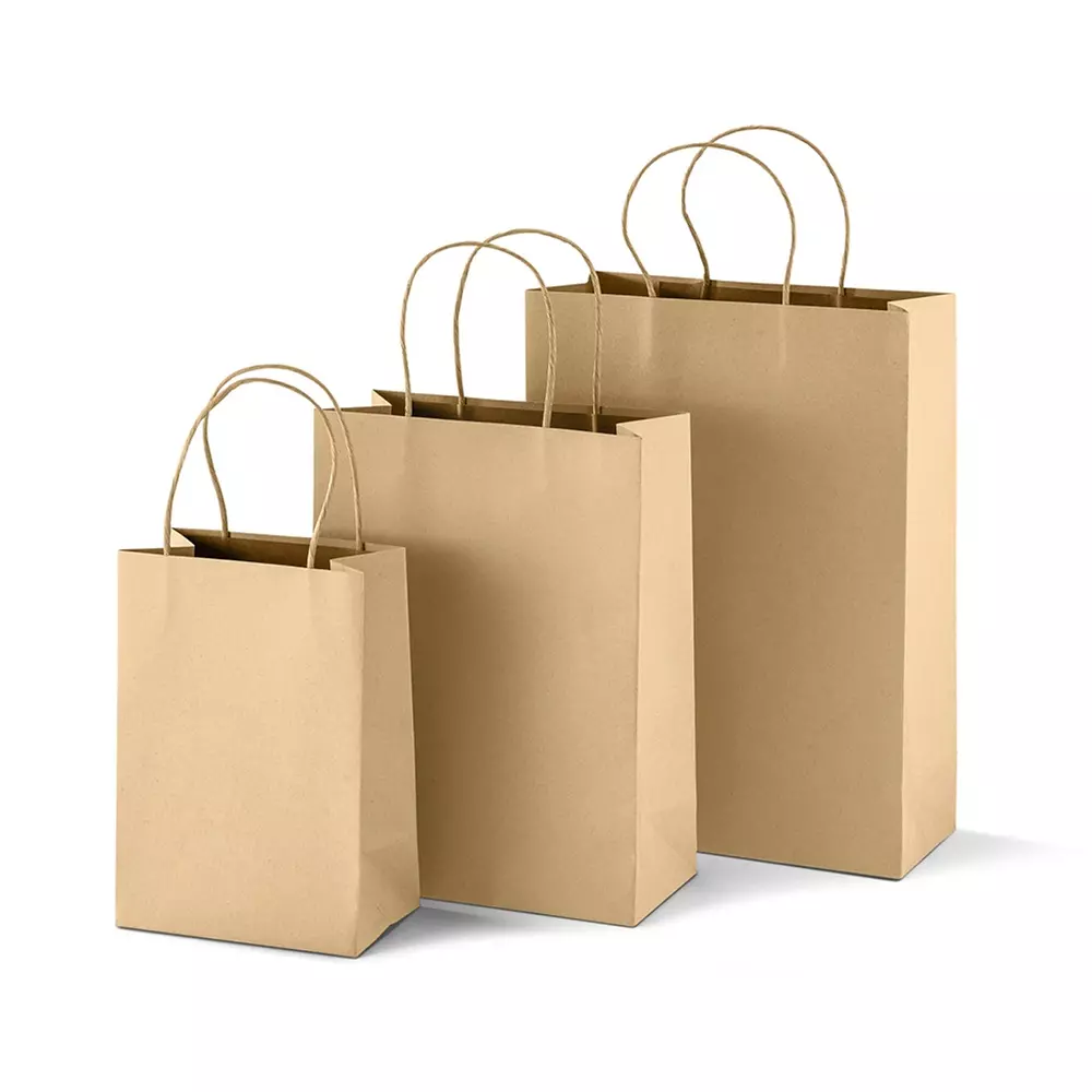 Paper Bags
