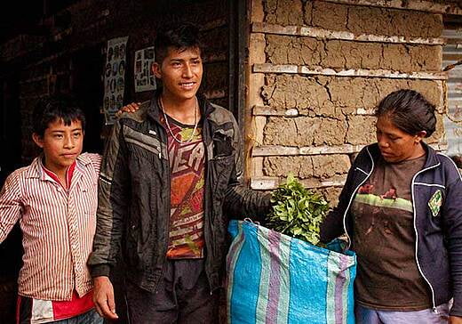 Familias coca nasa