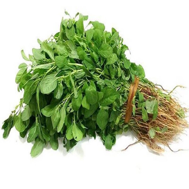ARAI KEERAI (AMARANTHUS ARITIS )