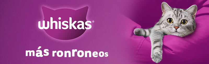 Whiskas - Whiskas Whiskas alimento para Gatos Adultos Sabor Carne Receta Orginal 9Kg Violeta Whiskas - Whiskas Whiskas alimento para Gatos Adultos Sabor Carne Receta Orginal 9Kg Violeta