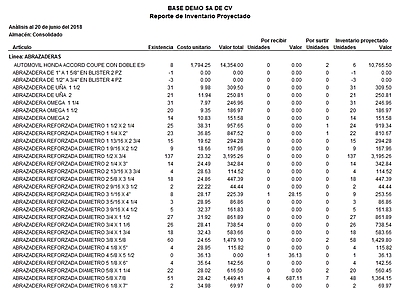 Reporte De Inventario Proyectado