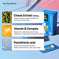 BBLAB CISSUS ONE DIET_850mg BBLAB CISSUS ONE DIET_850mg