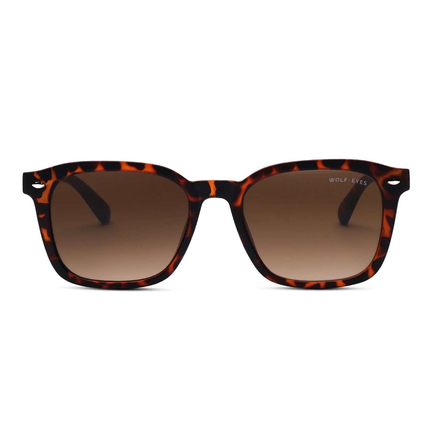 WE SUNGLASS 80074 WE SUNGLASS 80074