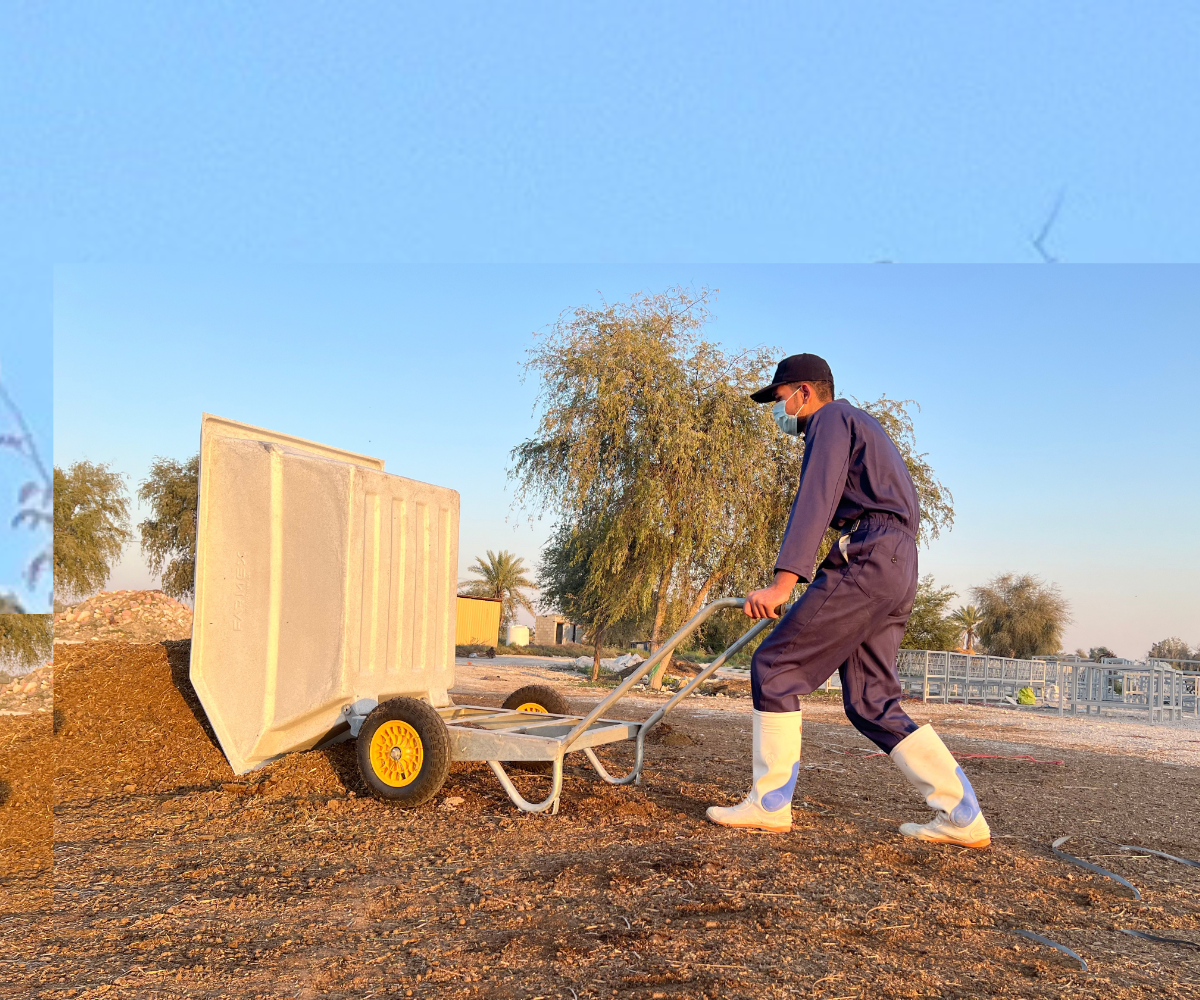 Wheelbarrow Farmex WB600 - X large White