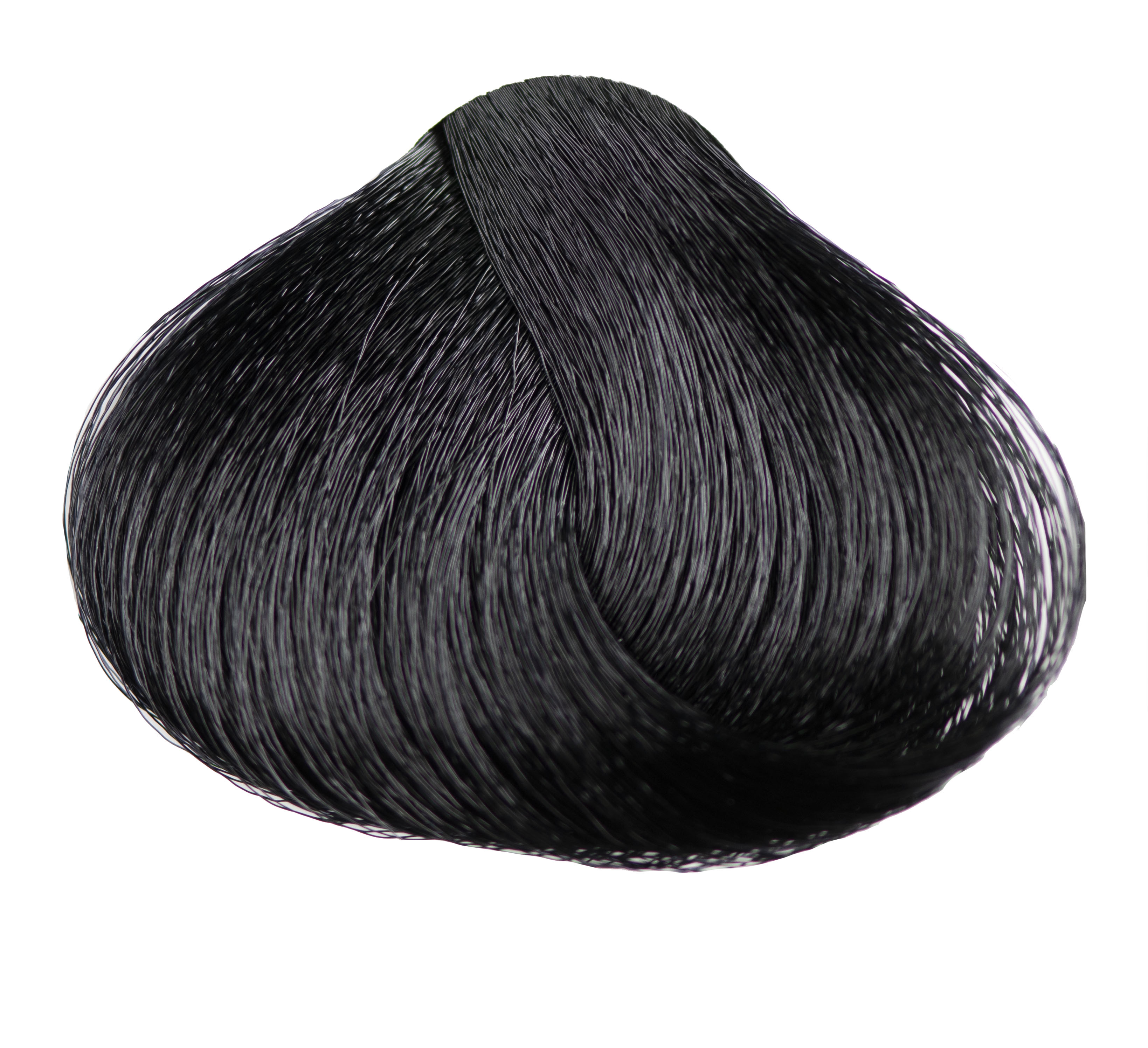E1.0 EE Color Ego 1/0 Black 100ml