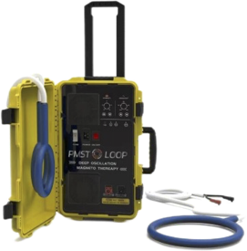PMST LOOP PEMF Therapy Device – 6000 Gauss Pulsed Electromagnetic Field for Pain Relief & Recover