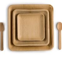 10 Inch Square Palm Plate 10 Inch Square Palm Plate