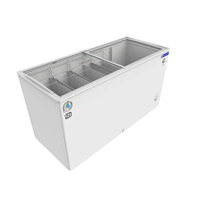 Customers Browsing Frozen Foods in a Blue Star GT4-400M Deep Freezer