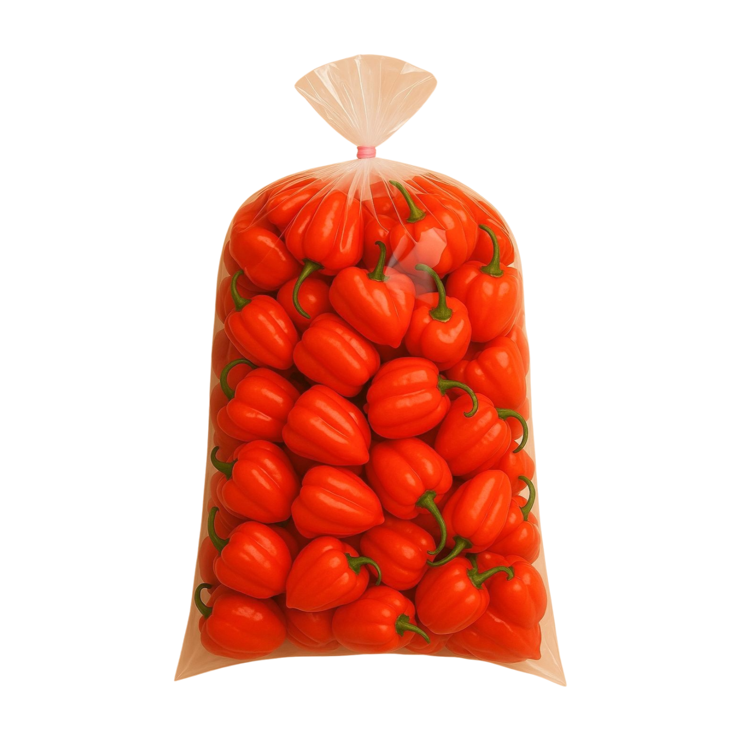 Habanero Red Habanero Red